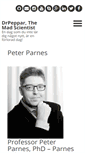 Mobile Screenshot of parnes.com